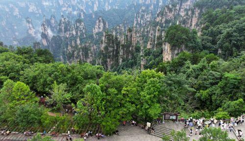 张家界最新新闻爆料,神秘洞穴发现罕见生物，探险之旅再掀热潮  第1张