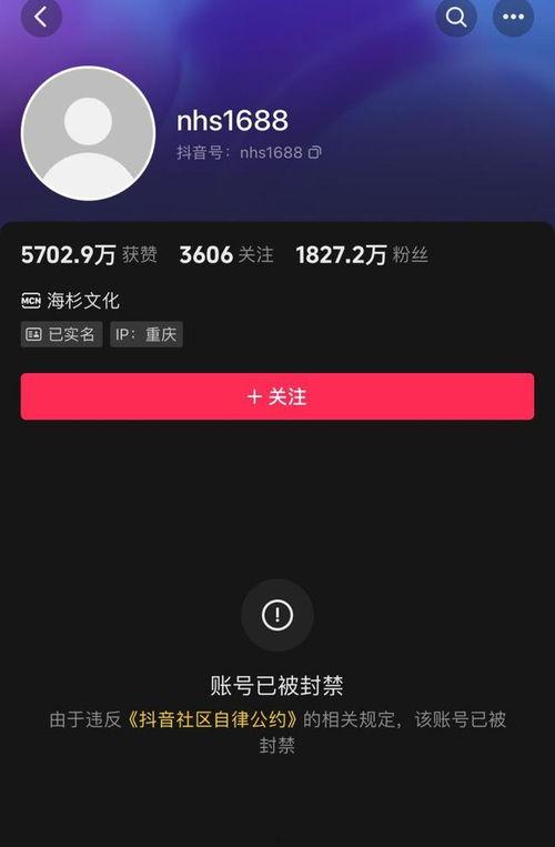 倪海杉被爆料过吗视频播放,真相究竟如何？