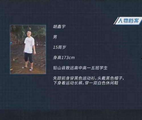 新闻爆料失踪案例最新版,揭秘神秘失踪背后的真相  第2张